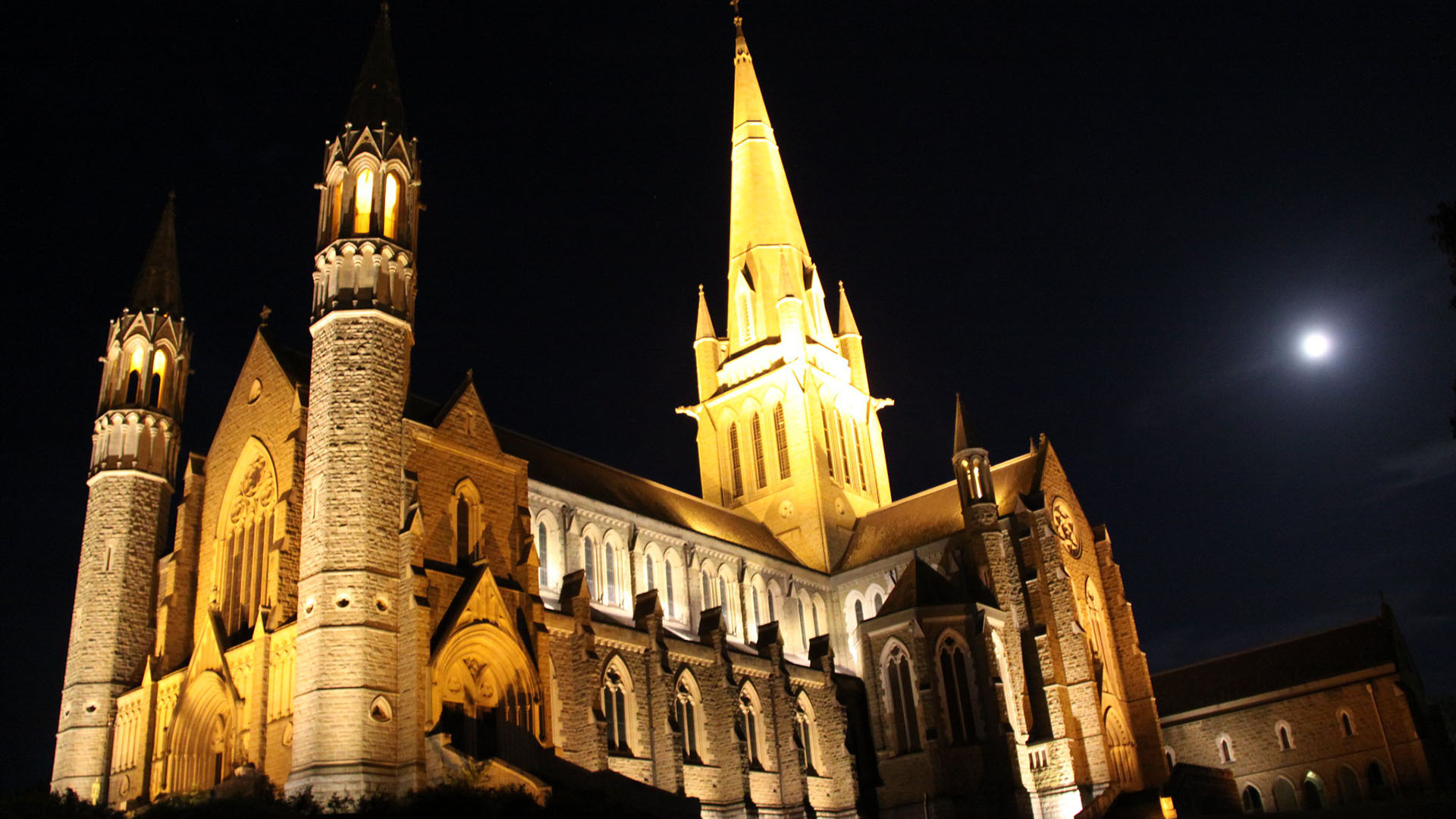 Image is of a gothic cathedral illuminated at night in Bendigo Victoria