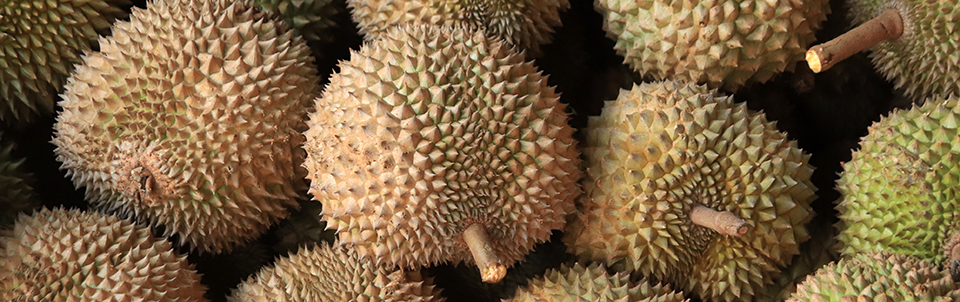 pile-of-durians-copy